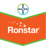 Ronstar EC250 - 1